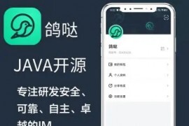 2022im聊天软件Java即时通讯源码原生APP双端+pc端+音视频通话