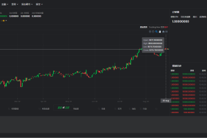 【独家资源】Tradebox去中心化交易/加密货币交易平台/自适应/正版程序/带视频搭建教程