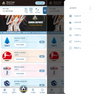 PC自适应反波胆系统/球盘源码/多级分销/充值返点