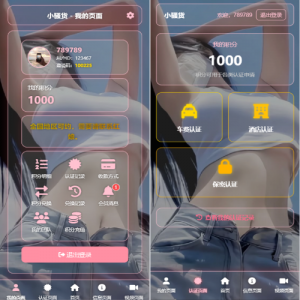 空降约/炮系统/酒店路费认证/预约上门/多级分销
