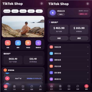 新版TIKTOK抢单刷单/打针派单/连单卡单/JAVA刷单